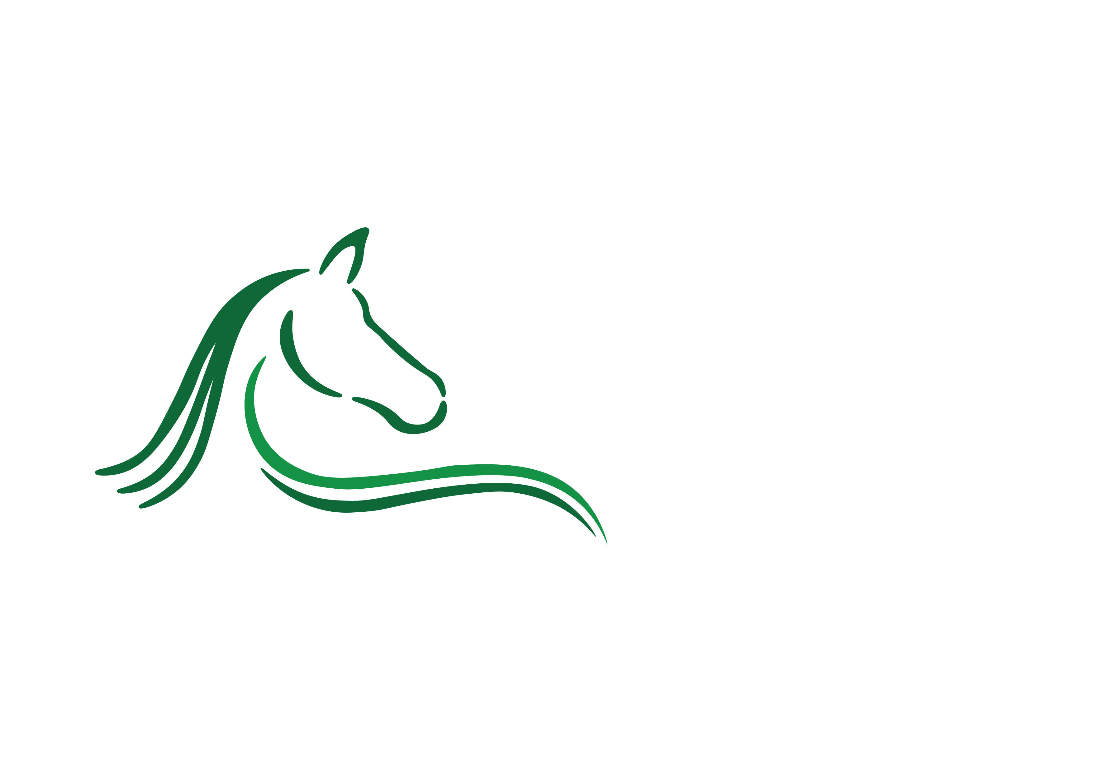 Carnakilly-Connemaras